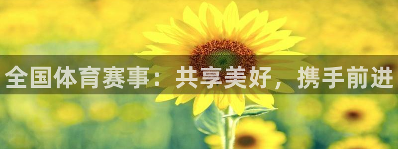 全国体育赛事：共享美好，携手前进