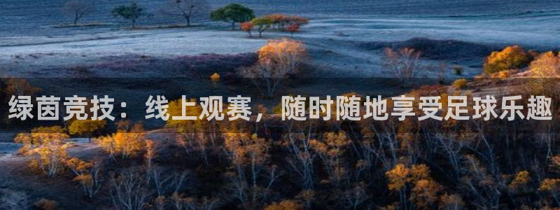 66网直播